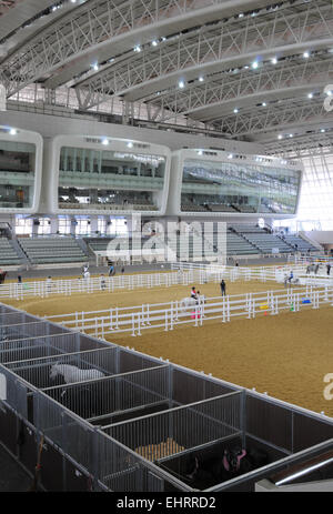 Al Shaqab Equestrian Centre, Doha, Qatar. Middle East. Stock Photo