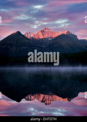 Herbert Lake with Mt. Temple reflection and sunrise. Banff National Park, Alberta, Canada Stock Photo