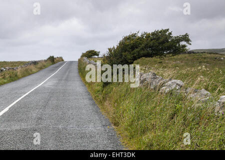 Landscape in the Burren National Park Stock Photo