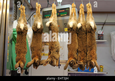 Rabbits for sale La Boqueria Market Barcelona Catalonia Spain Stock ...