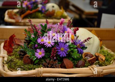 Arrangement of autumn flowers Stock Photo