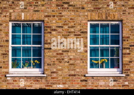 Two windows, with curtains drawn, in a north London street. Stock Photo