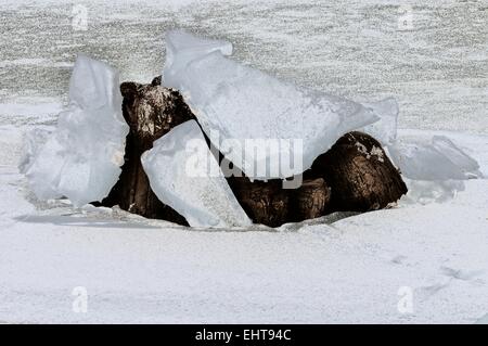 Broken ice Stock Photo
