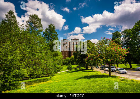 Clouds over trees and a building at Druid Hill Park, in Baltimore, Maryland. Stock Photo