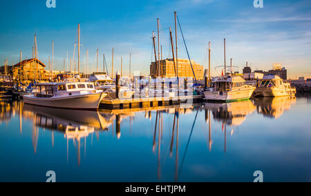 Evening light on boats in a marina, in Baltimore, Maryland. Stock Photo