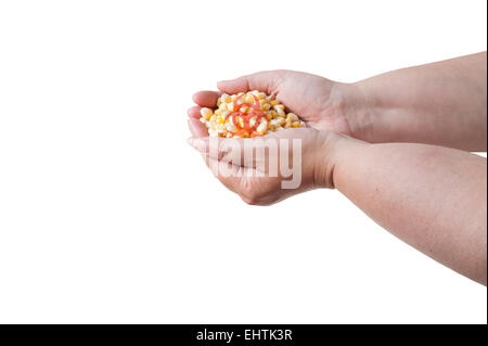 Corn Biohazard Stock Photo