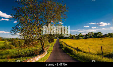 Large tree on a road through farmfields and rolling hills in Antietam National Battlefield, Maryland. Stock Photo