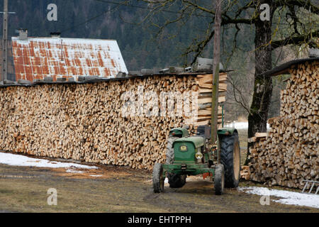 FIREWOOD IN HAUTE-SAVOIE (74), RHONE-ALPES, FRANCE Stock Photo