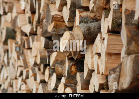 FIREWOOD IN HAUTE-SAVOIE (74), RHONE-ALPES, FRANCE Stock Photo