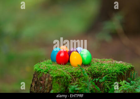 coloured easter eggs on a stump Stock Photo