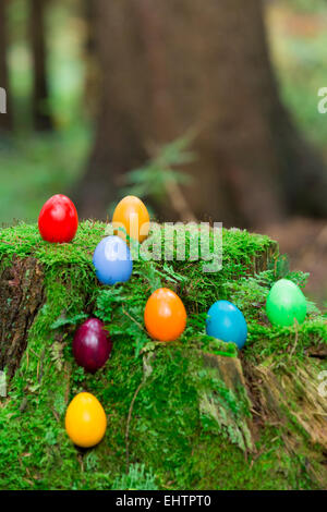 coloured easter eggs on a stump 11 Stock Photo
