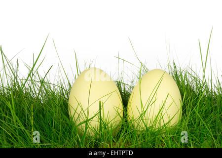 Rhea eggs in a meadow 2 Stock Photo - Alamy