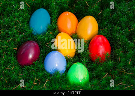 coloured easter eggs in a moss Stock Photo
