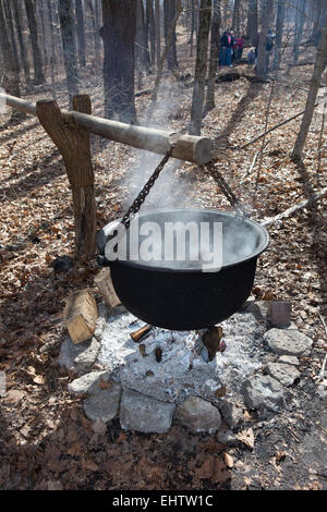 Large cast iron pot being used to reduce sugar maple sap to maple syrup, traditional reduction method. Stock Photo