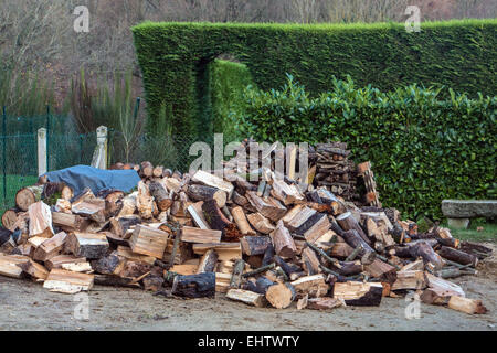 ILLUSTRATION OF FIRE WOOD, FRANCE Stock Photo