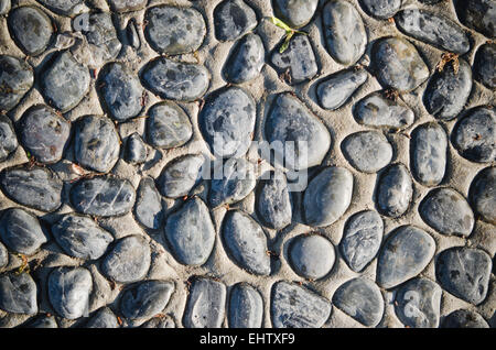 Cobblestone road a close up Stock Photo