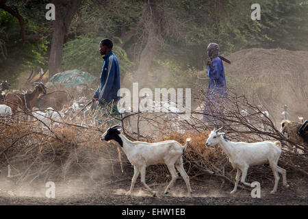 ILLUSTRATION OF SENEGAL, WEST AFRICA Stock Photo