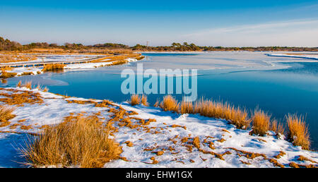 Snow covered marsh at Assateague Island National Seashore, Maryland. Stock Photo