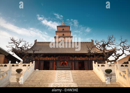 the great buddha’s hall with giant wild goose pagoda Stock Photo