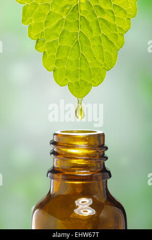 Alternative medicine and homeopathy Stock Photo
