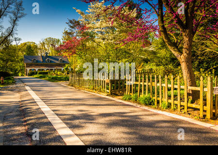 Gardens along a path through Cylburn Arboretum, Baltimore, Maryland. Stock Photo