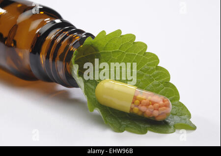 alternative medicine with herbal pill Stock Photo