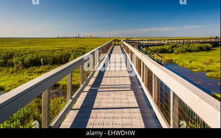 Boardwalk over marshes at Edwin B. Forsythe National Wildlife Refuge, New Jersey. Stock Photo