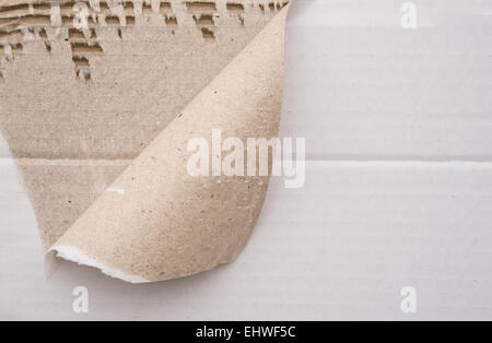cardboard corrugated pattern with a torn corner, horizontal Stock Photo