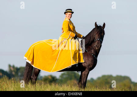 Friesian Horse Rider wearing baroque riding habit riding black Friesian Horse summer Germany Stock Photo