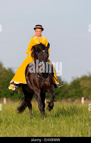 Friesian Horse Rider wearing baroque riding habit galloping black Friesian Horse summer Germany Stock Photo