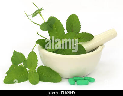 Medicinal herbs on mortar with pestle and pills over white background Stock Photo