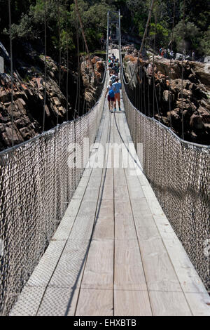 Tourists crossing the suspension bridge, Tsitsikamma National Park, South Africa Stock Photo