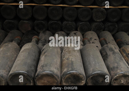 This is a wine storage. Old wine bottles covered with dust are set in rows. Stock Photo