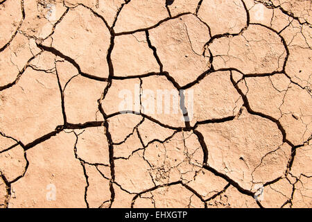 Cracked soil in Erg Chebbi, Sahara, Morocco Stock Photo