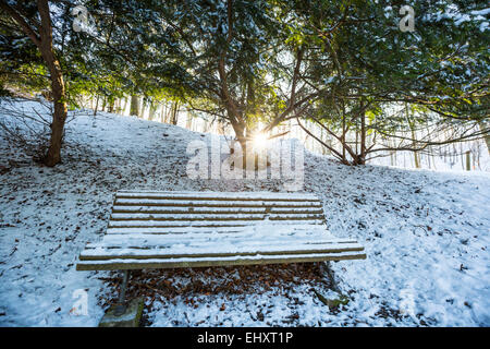 Germany, Bavaria, Landshut, Hofgarten in winter Stock Photo