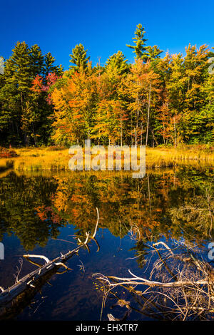 Red Eagle Pond, in White Mountain National Forest, New Hampshire. Stock Photo