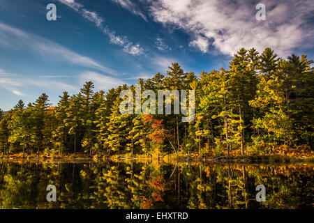 Red Eagle Pond, in White Mountain National Forest, New Hampshire. Stock Photo