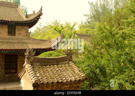 Photography of a traditional Chinese roof construction next to the Small Wild Goose Pagoda. Stock Photo