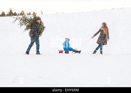 Family carries the perfect Christmas tree in snowy landscape Stock Photo