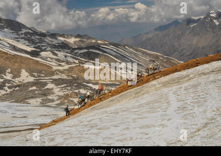 Caravan of mules in high altitudes of Himalayas mountains in Nepal Stock Photo