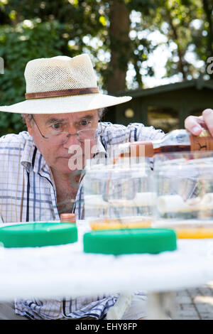 Senior man preparing snail trap, Bournemouth, County Dorset, UK, Europe Stock Photo