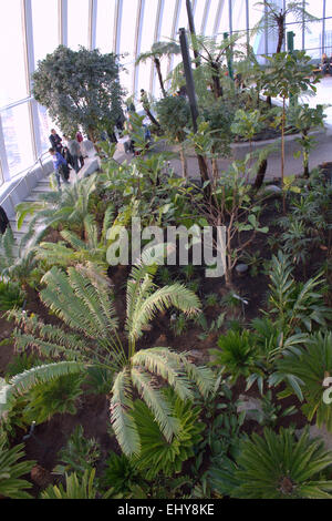 London, United Kingdom. 18th March 2015 - Visitors admires the view from the Sky Garden, Walkie Talkie Building in the City. Stock Photo