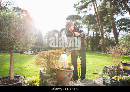 Senior man watering flowers in garden, Bournemouth, County Dorset, UK, Europe Stock Photo