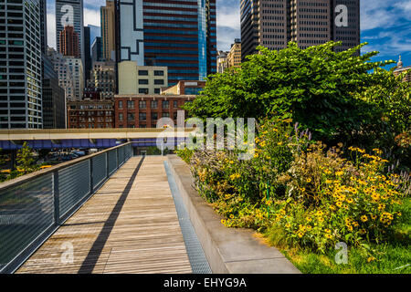 Bushes and view of buildings in Lower Manhattan from Pier 15, at South Street Seaport in Manhattan, New York. Stock Photo