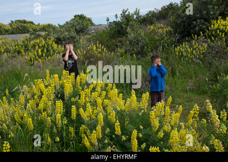 Children playing hide and seek Stock Photo