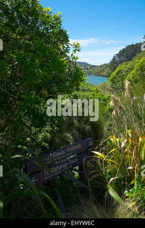 Zealandia botanical gardens, Wellington, North Island, New Zealand Stock Photo