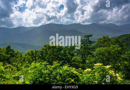 Mid-day view of the Appalachian Mountains from the Blue Ridge Parkway in North Carolina. Stock Photo