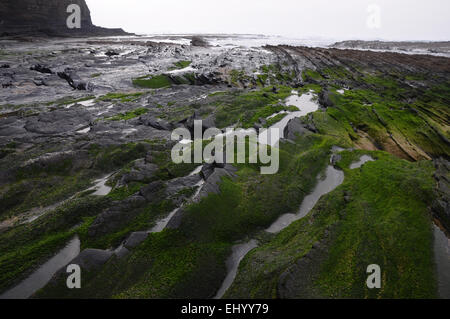 Portugal, Europe, coast, west coast, sea, waves, alentejo, odeceixe, rocks, cliffs, algae, fold, layers, structure, surf Stock Photo