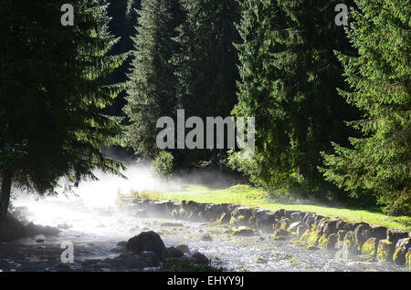 France, Europe, Jura, spring, source, source, Doubs, mouthe, rocks, cliffs, river, flow, fog, Stock Photo
