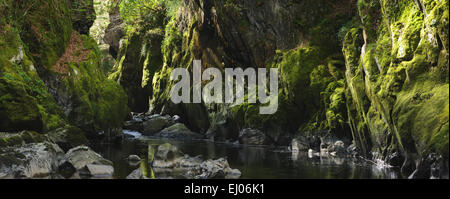 Fairy Glen, Betws y Coed; Gwynedd, North West Wales Stock Photo